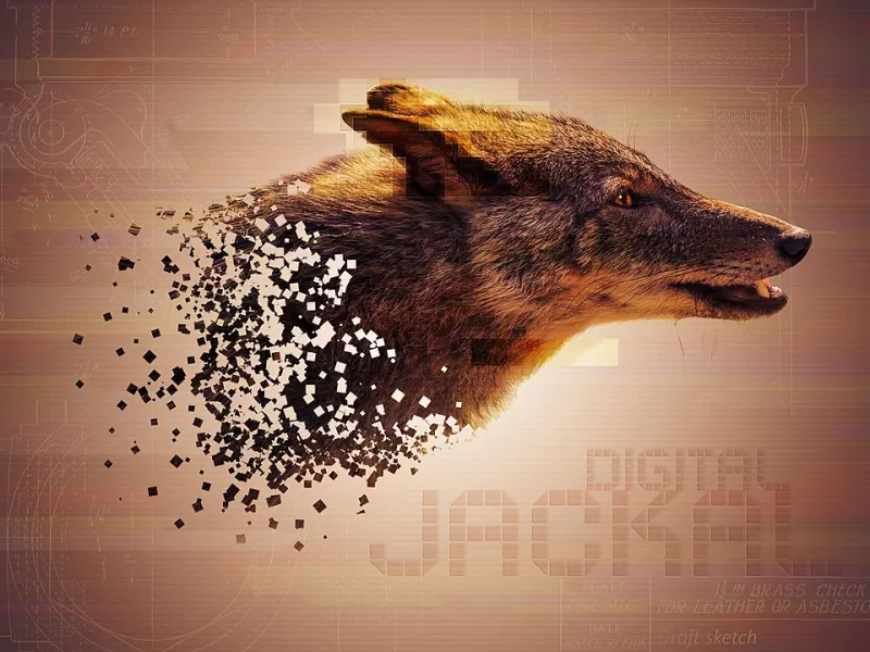 Breaking on Purpose: How Artists Turned the Digital Error Into a Language